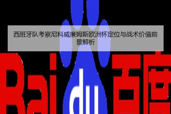 西班牙队考察尼科威廉姆斯欧洲杯定位与战术价值前景解析