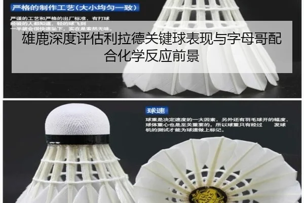 雄鹿深度评估利拉德关键球表现与字母哥配合化学反应前景